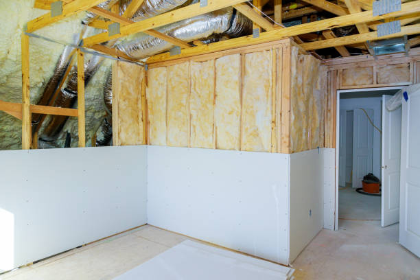 Best Types of Insulation in Goldstream, AK