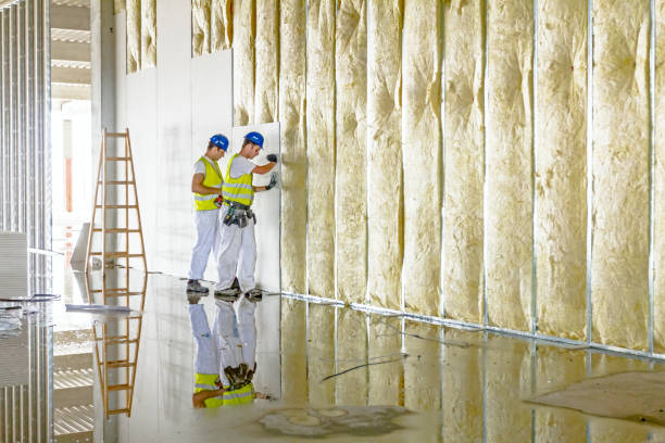 Best Insulation Installation Services in Goldstream, AK